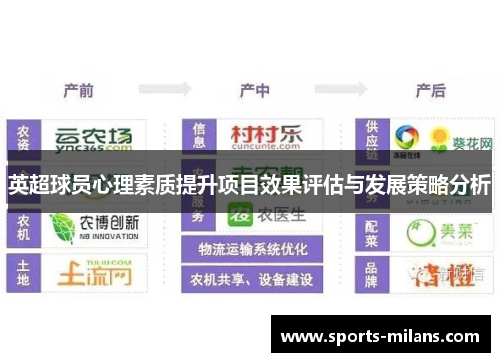 英超球员心理素质提升项目效果评估与发展策略分析