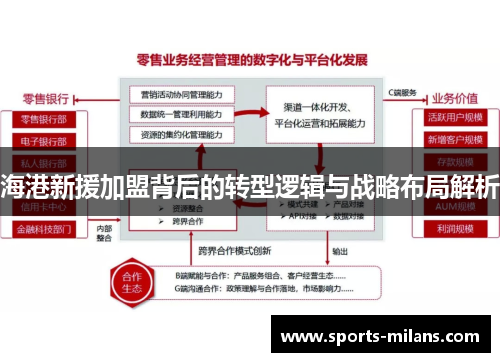 海港新援加盟背后的转型逻辑与战略布局解析